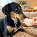 Personalisierte Kaffeetasse für Hund & Katze mit handgefertigter Tierfigur