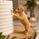 Lustige Hund-isst-Kuchen-Dekoration-Hunde-Kuchen-Topper